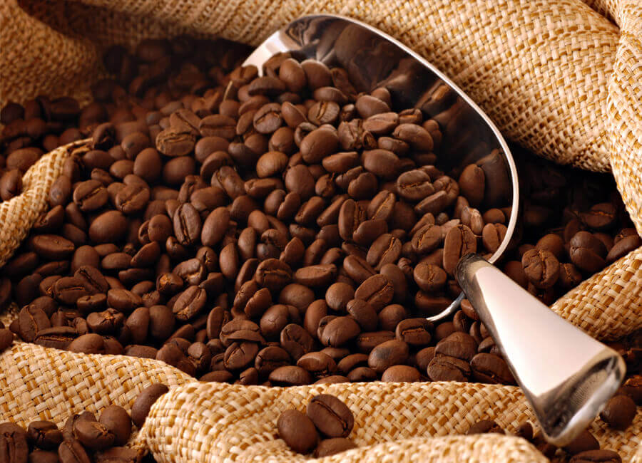 arabica coffee beans