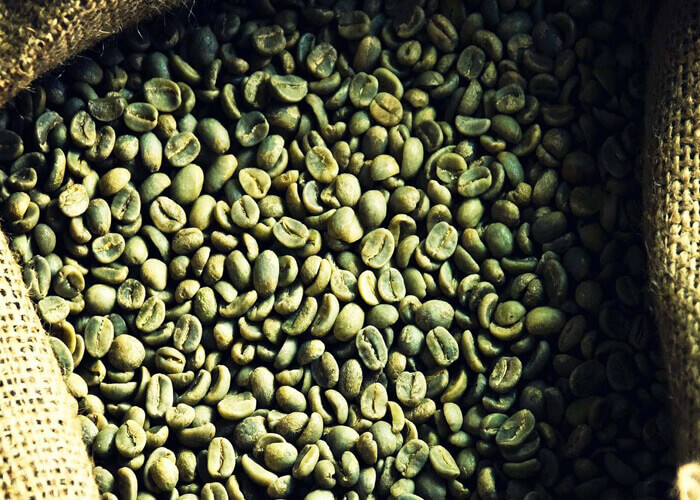 arabica coffee beans