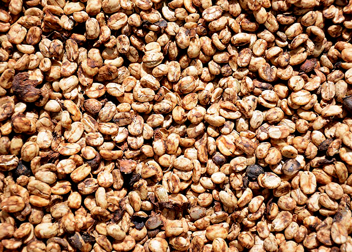 semi washed coffee semi washed coffee