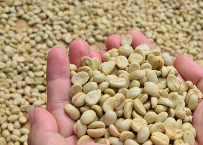 washed coffee washed coffee
